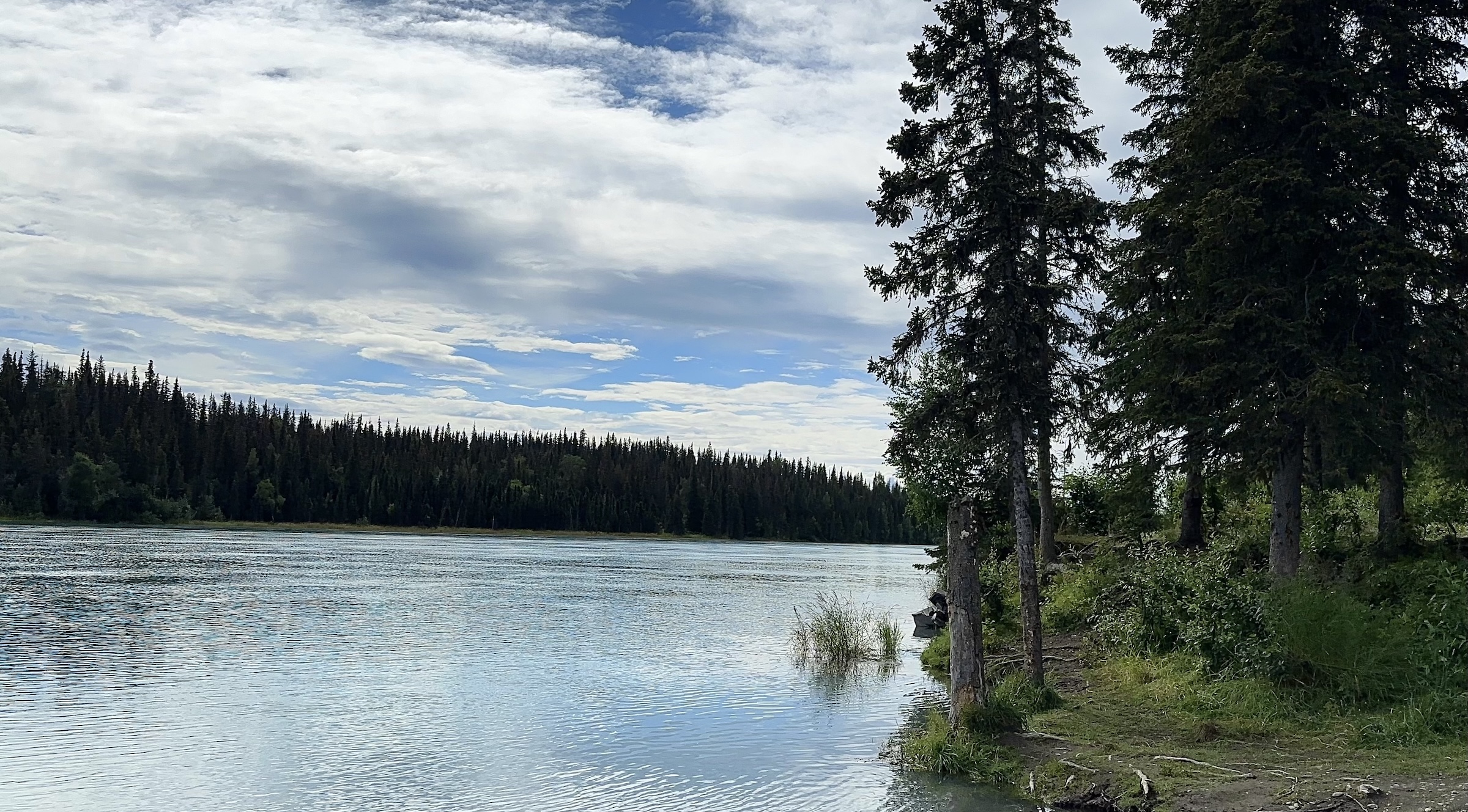 Predicting Sockeye on the Kenai Peninsula for 2025